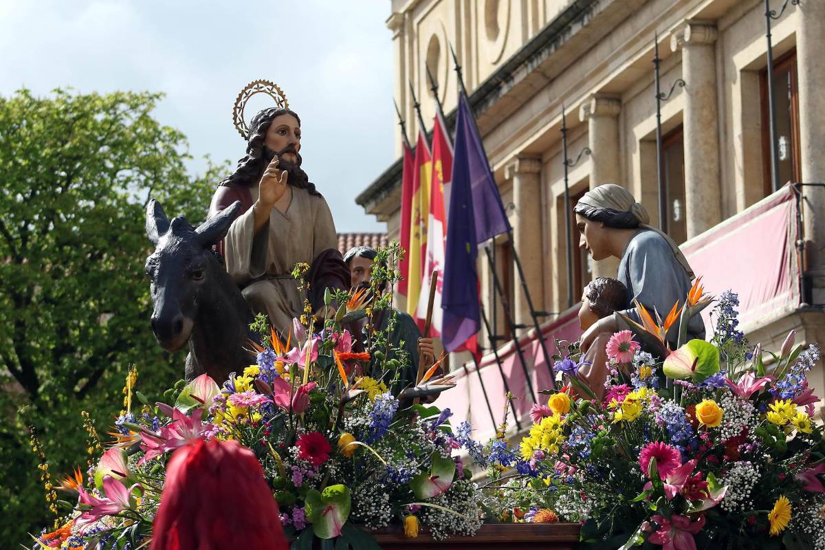 Fe y tradición: las imágenes del Domingo de Ramos en el mundo