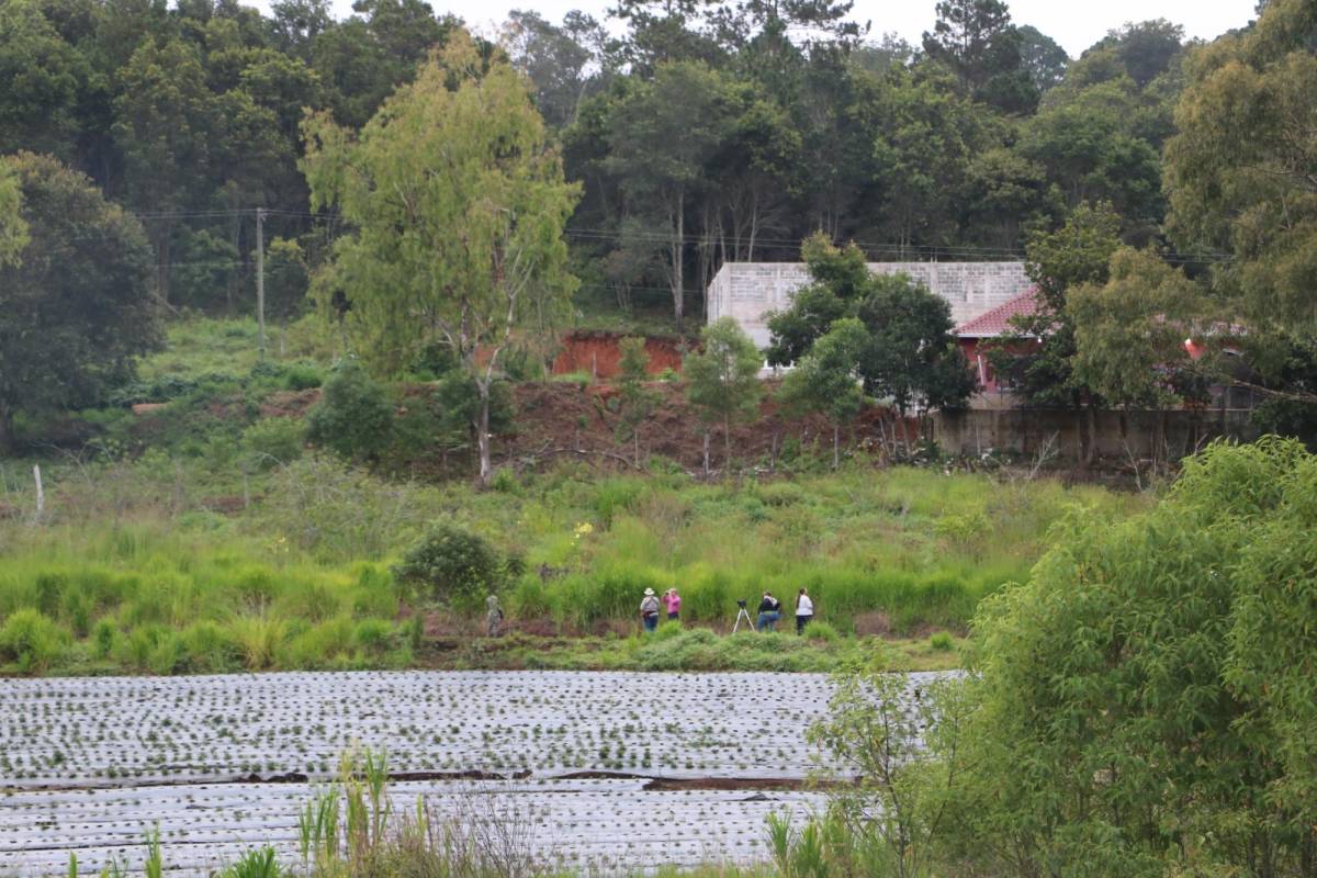 Descubren en Yamaranguila un paraíso para el aviturismo en Honduras