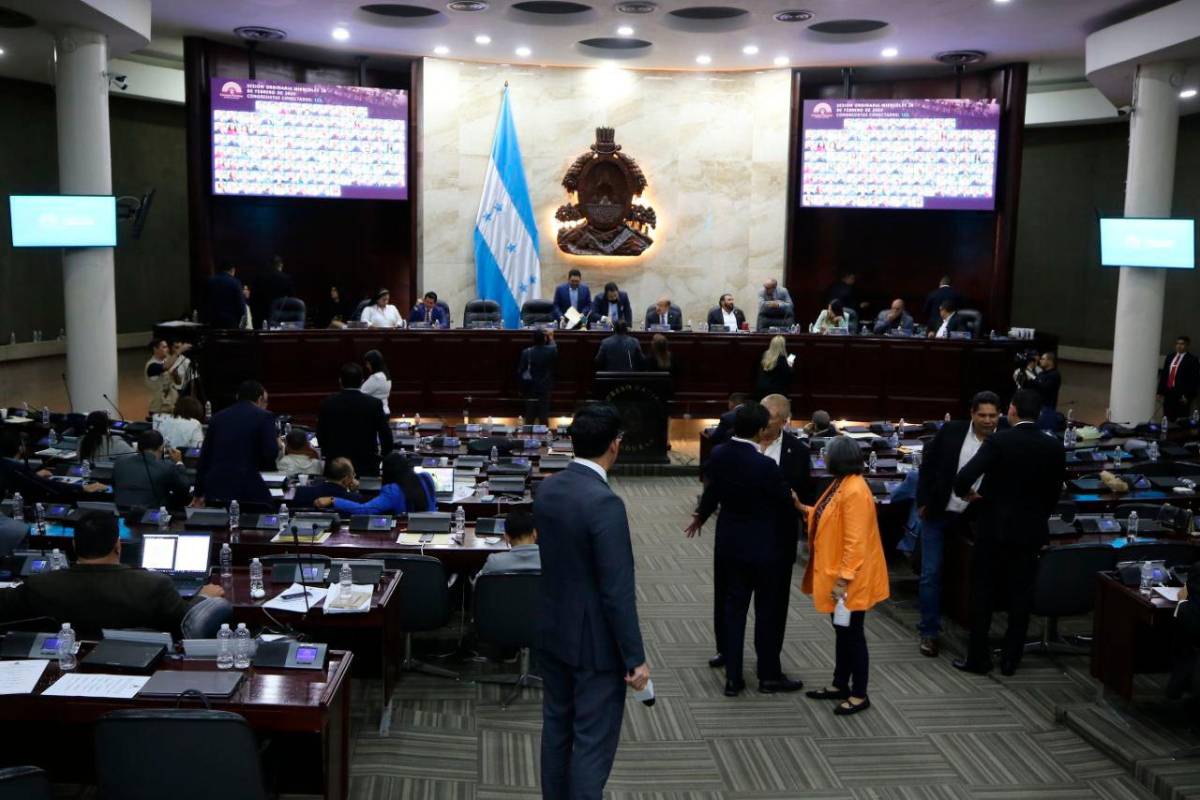 En el Congreso Nacional, reformas para instalar la Cicih
