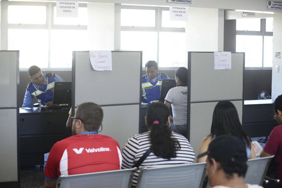 Más de 700 licencias está emitiendo Tránsito en San Pedro Sula