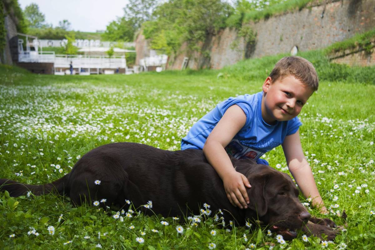 Los niños que crecen con perros son más felices y saludables