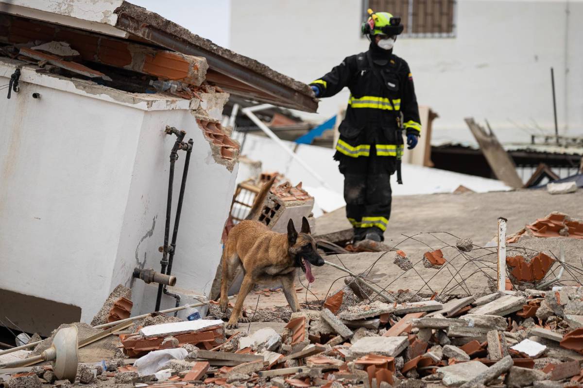 La desesperada búsqueda de sobrevivientes continúa tras los terremotos en Venezuela