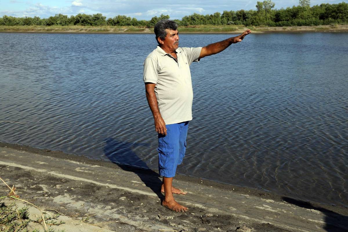 ¿Cuánto bajó en 2024 la producción de camarón cultivado en Honduras?