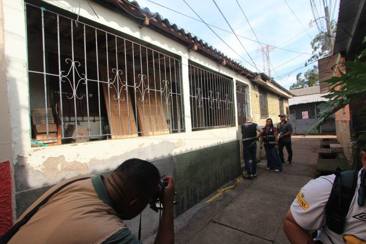 “Se escuchaban los aullidos”: vecinos relatan cómo vivía Zeus, pitbull que mató a su dueño