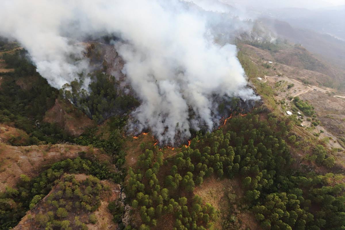 Incendios forestales afectan a 63,433 hectáreas en Honduras