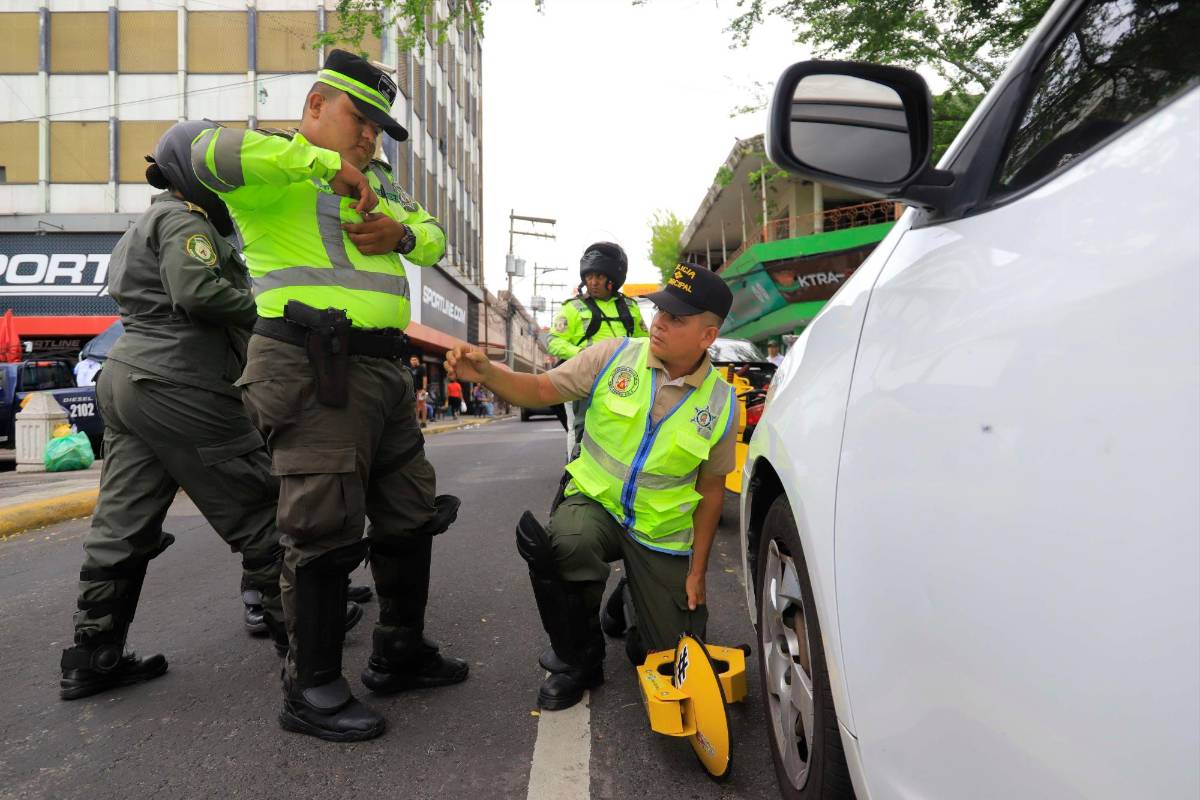 El que dañe una chacha va a  pagar hasta L10,000 de multa