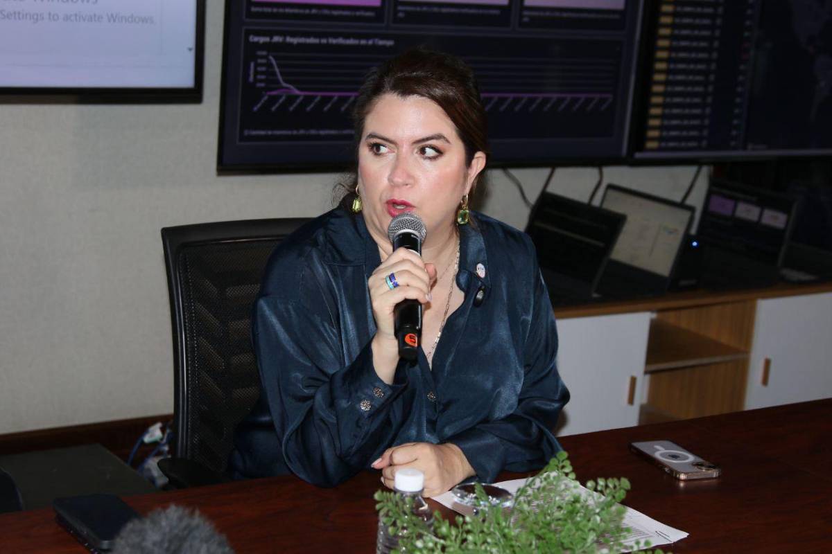 Las ocho frases más relevantes del CNE tras paralización de resultados