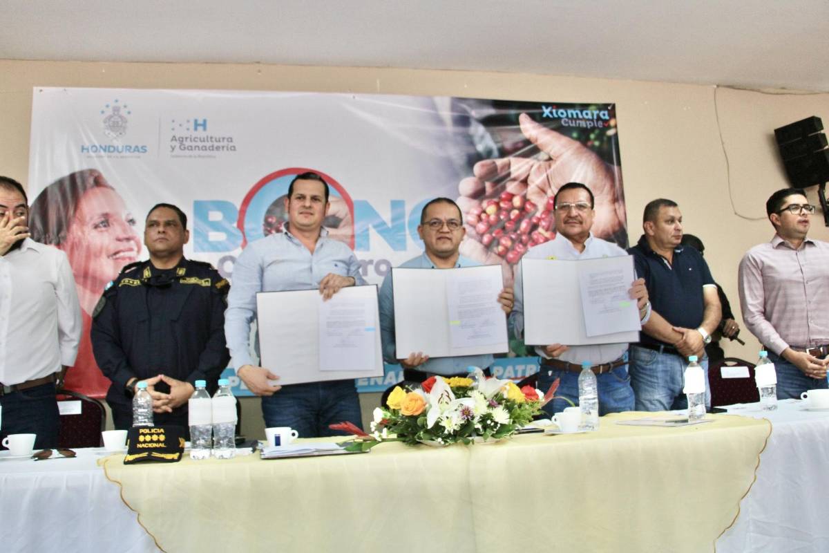 Mil policías resguardarán traslado de cosecha de café hacia exportadoras