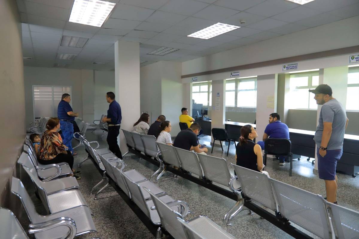 A finales de mes esperan licencias de conducir