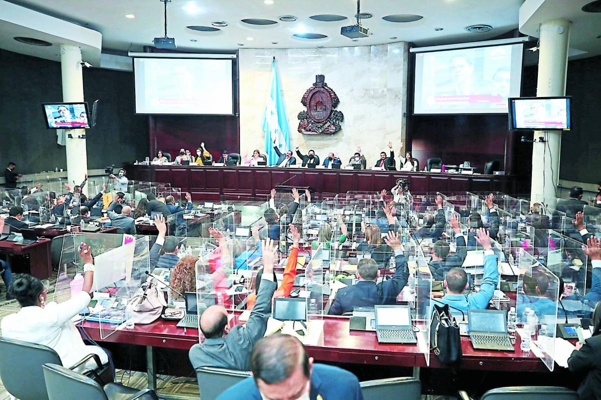 Congreso Nacional reformará polémica Ley de Amnistía Política