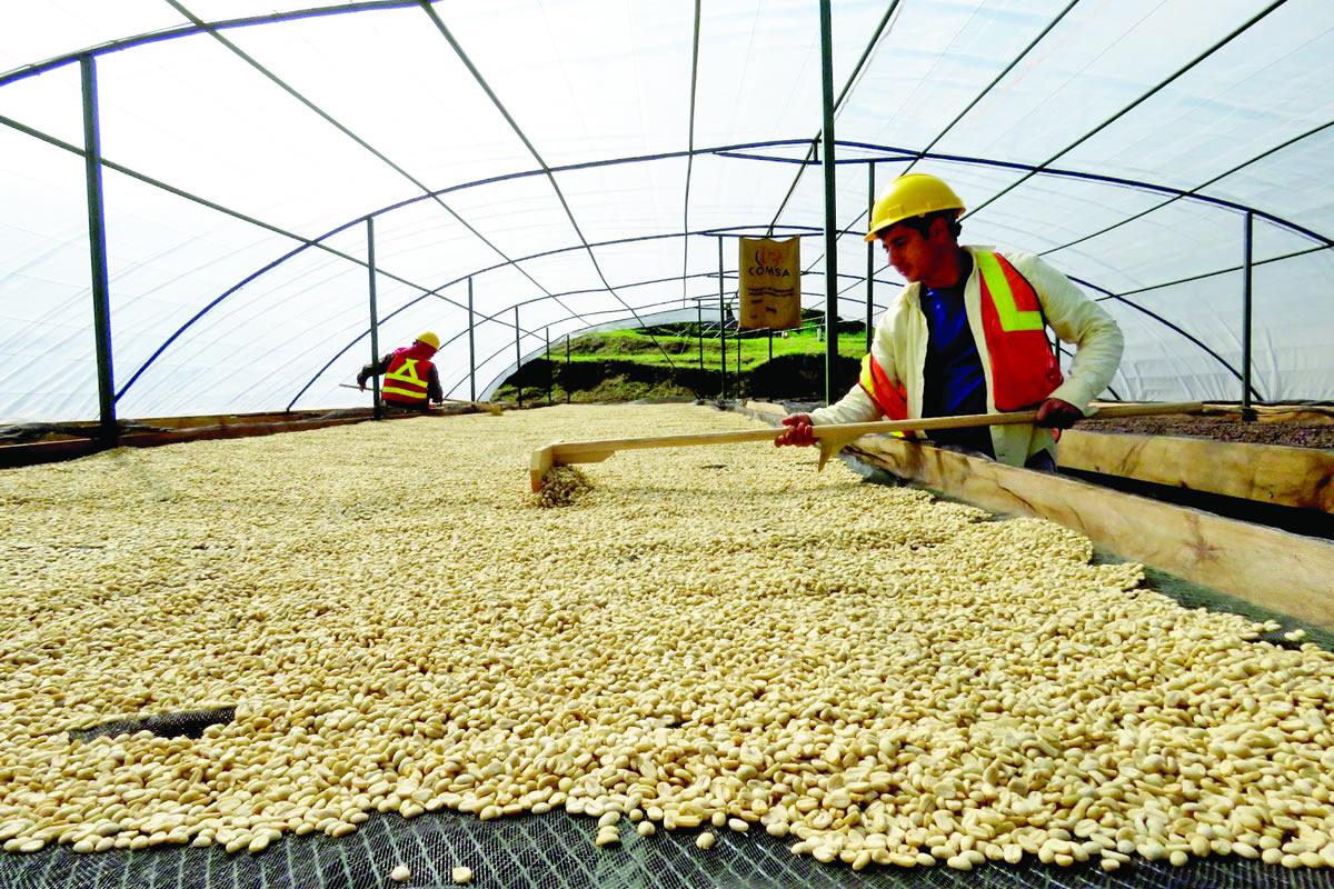 El Instituto Nacional de Estadística señaló que la información recabada durante el censo es estrictamente confidencial y será utilizada únicamente con fines estadísticos.