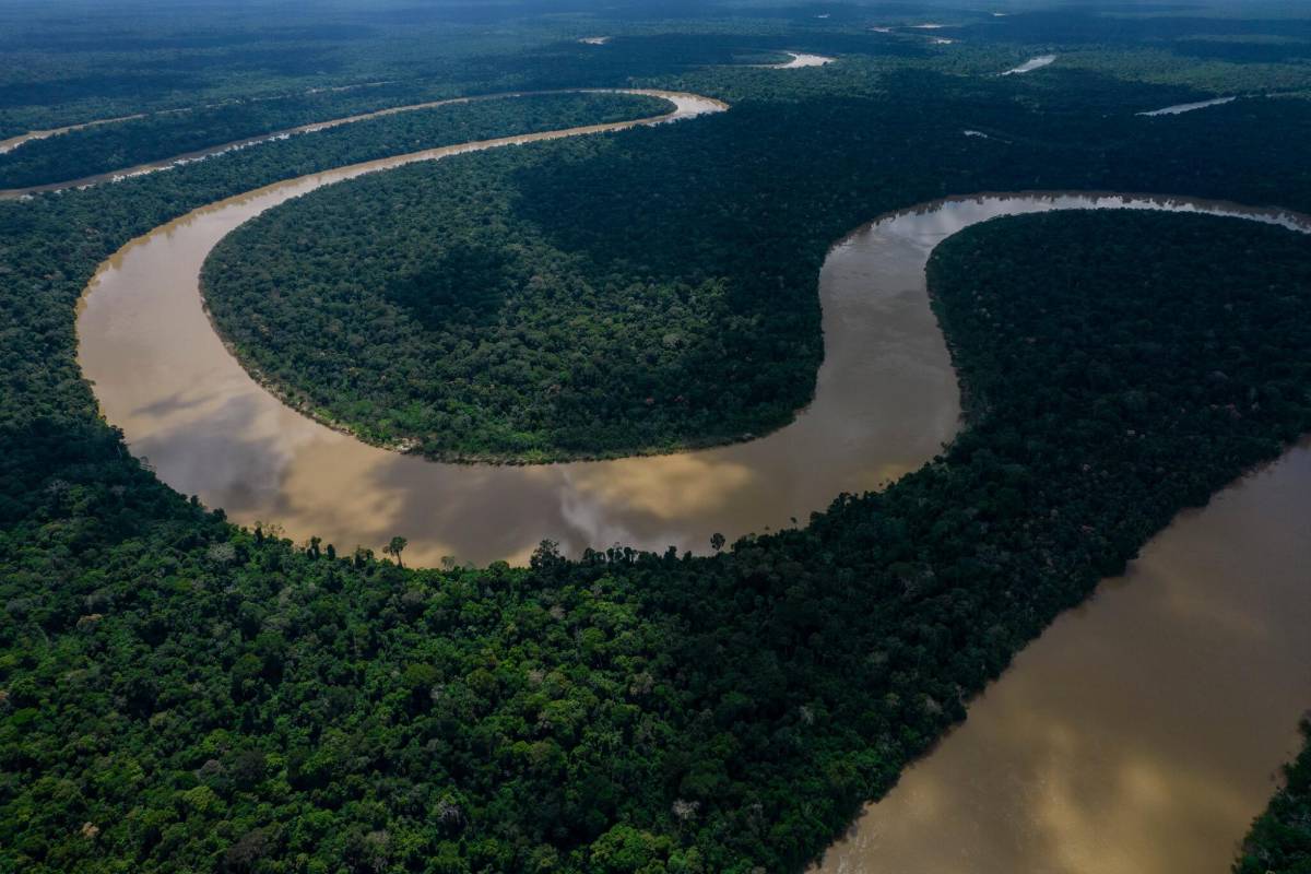 Países amazónicos, liderados por Brasil, firman un pacto por la selva