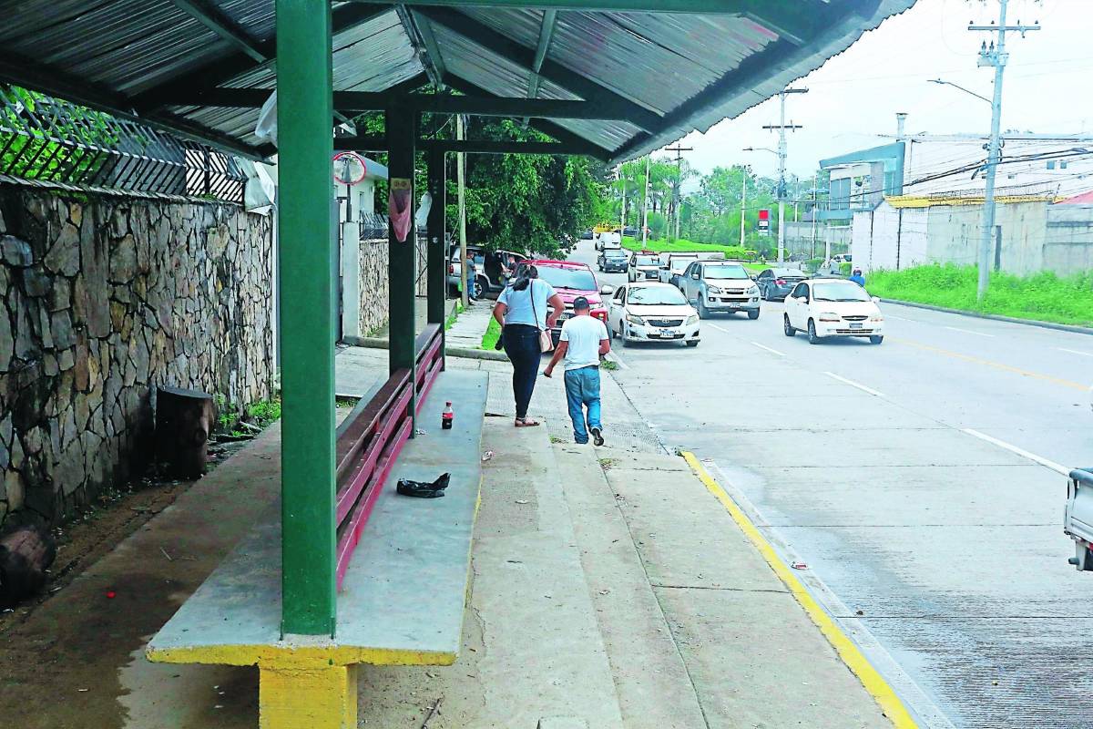 El 70% de crímenes contra mujeres los cometen sus parejas