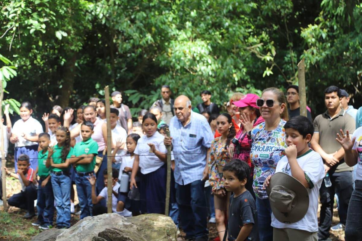 Así vivió La Ceiba la segunda liberación de guacamayas rojas en el río Cangrejal