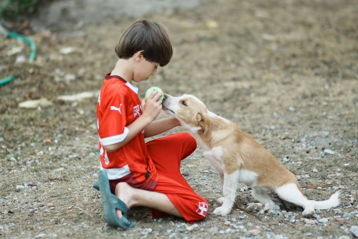 Los niños que crecen con perros son más felices y saludables