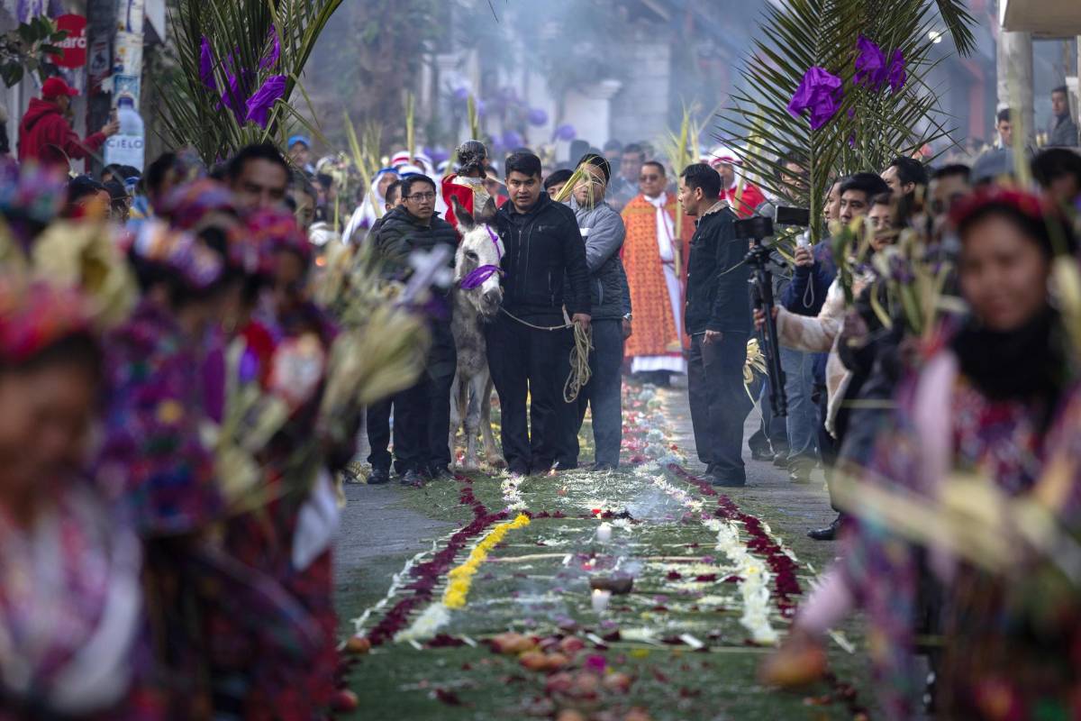 Fe y tradición: las imágenes del Domingo de Ramos en el mundo