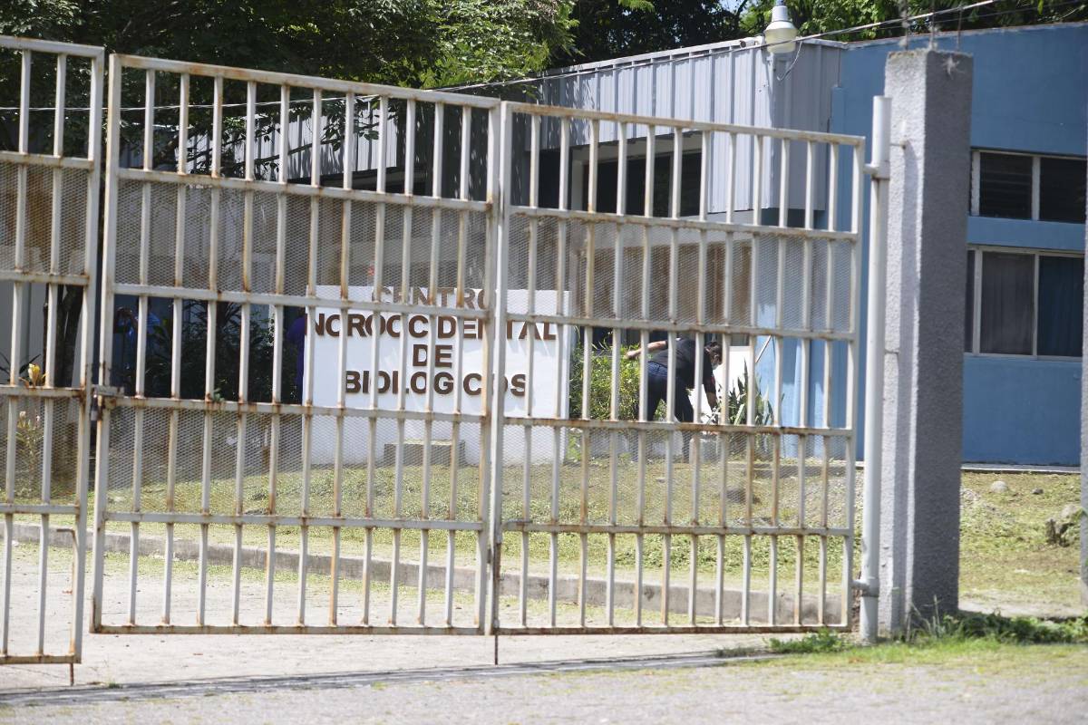 MP interroga a funcionarias de Salud por daño de vacunas