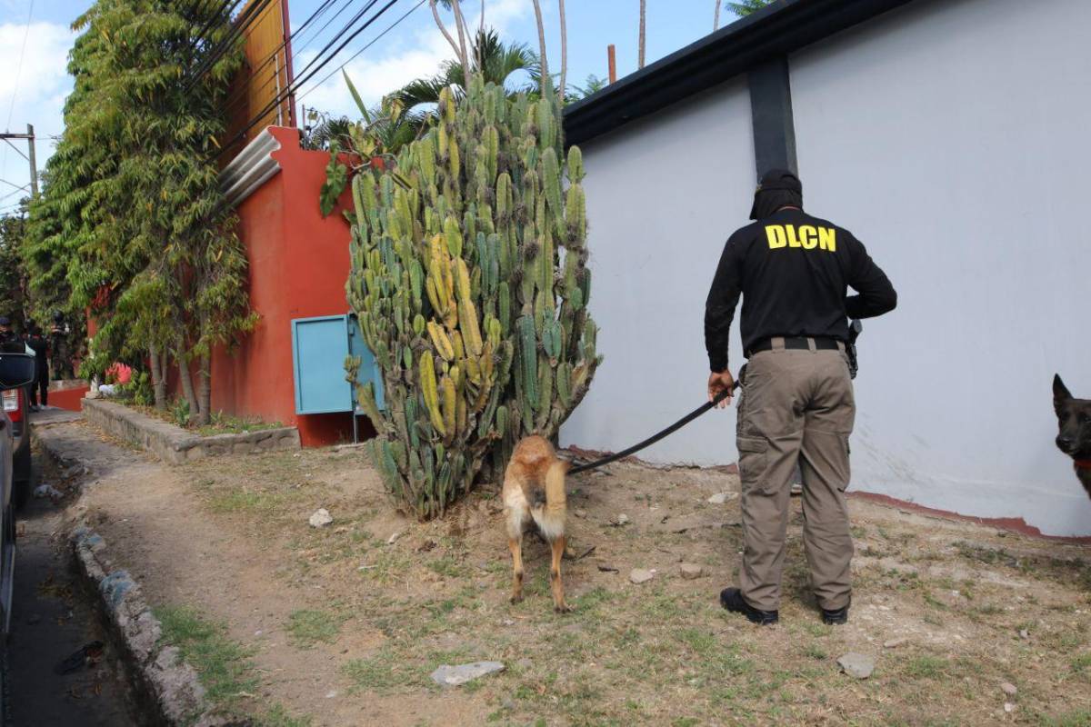 Con perros y ariete rompepuertas: así fue el allanamiento en casa de Romeo Vásquez