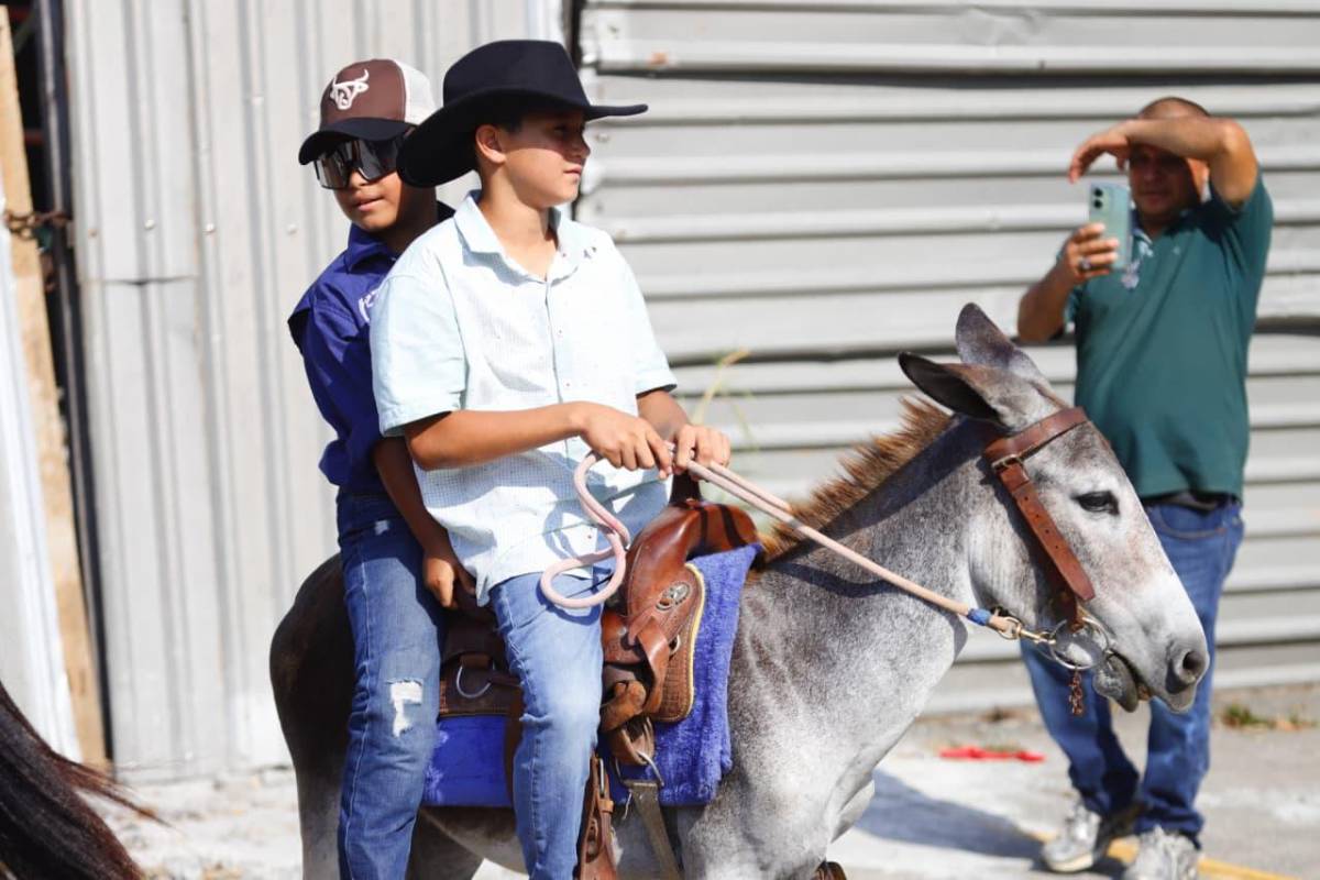 Las bellezas que deja el Gran Desfile Hípico 2026 en San Pedro Sula