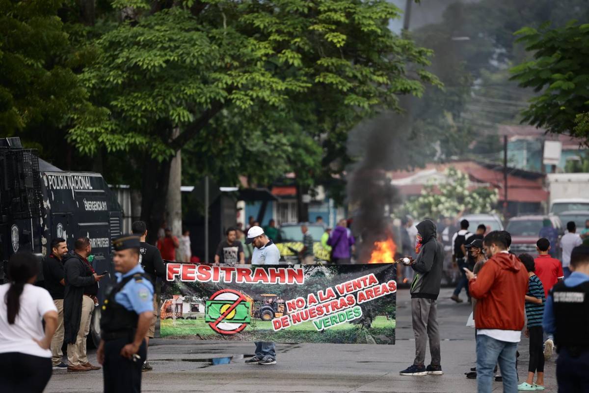Revelan a quién pertenece predio reclamado por la colonia Fesitranh