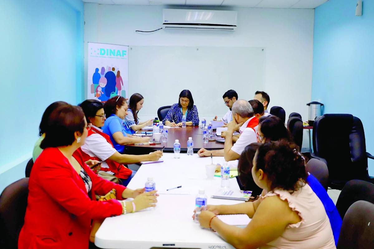 Evaluación de perfiles y depuración continuará en Dinaf, dice nueva directora