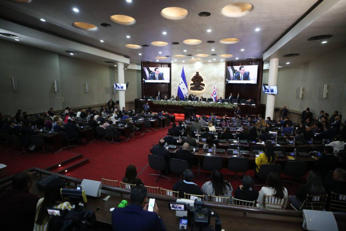 Iroshka, Godofredo y Sergio entre los diputados a los que podrían descontar salario por faltar al CN