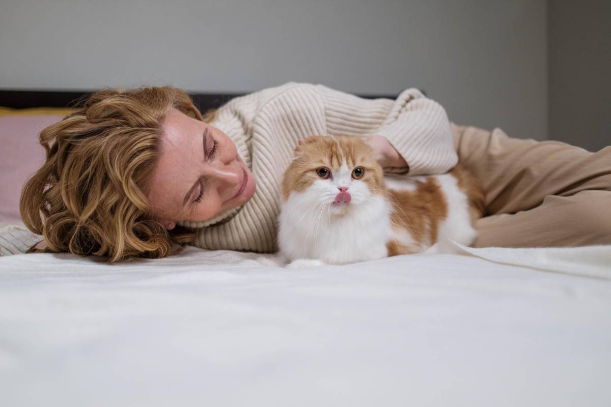 Riesgos y beneficios para los humanos de dormir con las mascotas