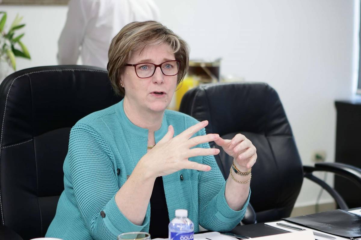 Embajadora Dogu se pronuncia sobre elección de fiscales