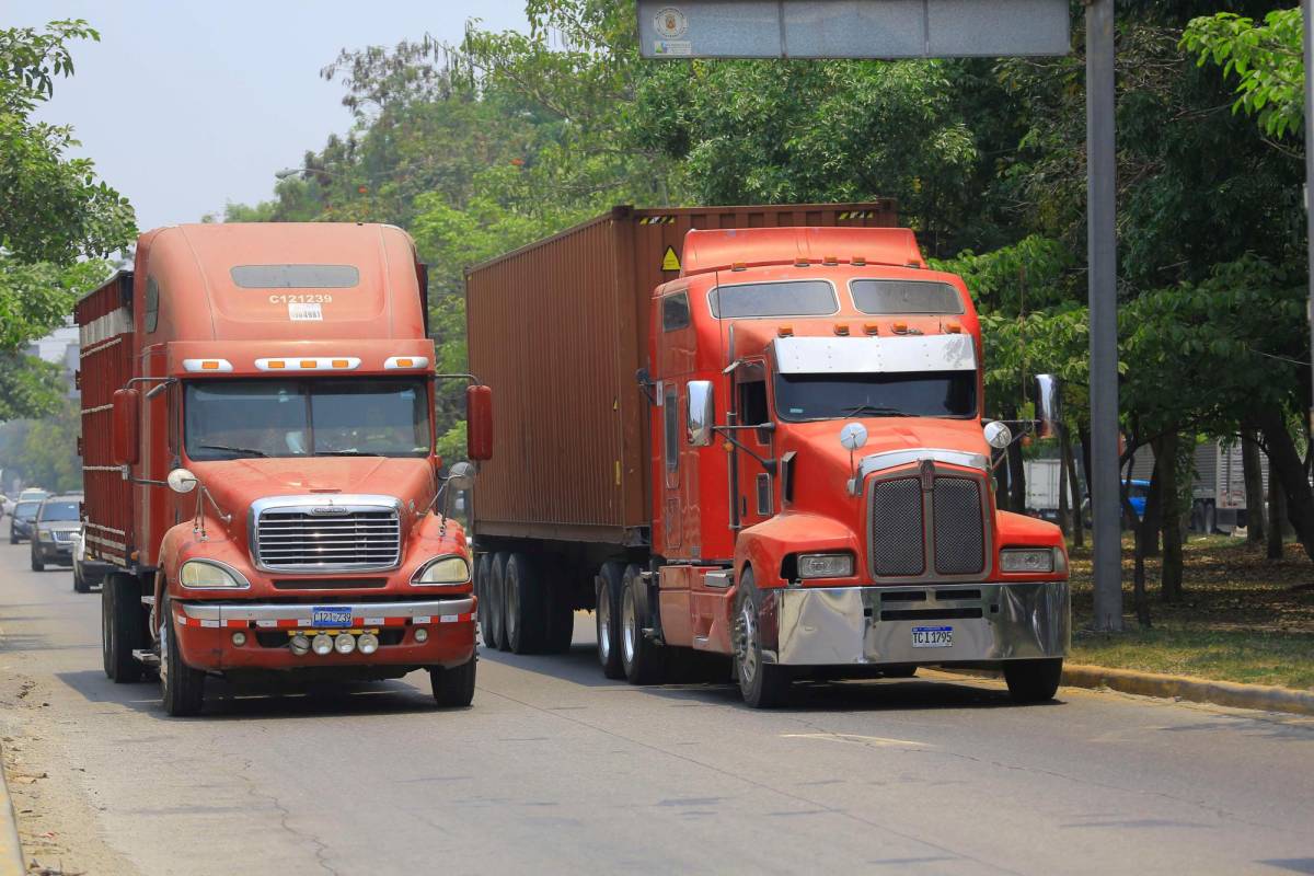 Transporte de carga, afectado por no emisión de licencias