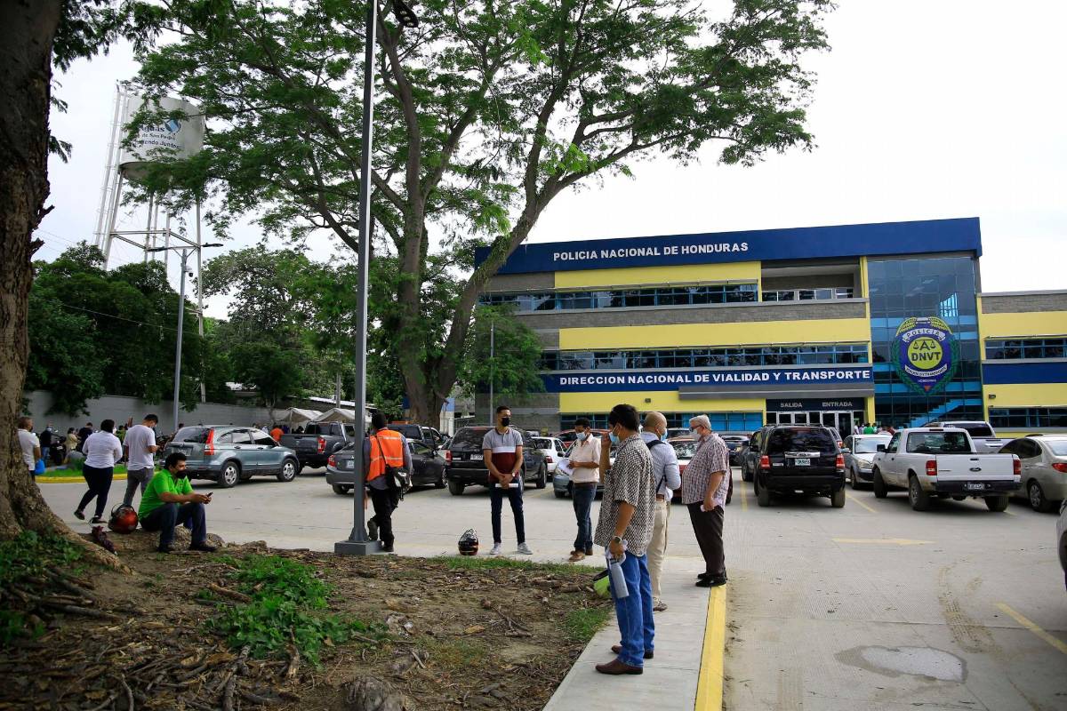 Tránsito no está emitiendo licencias ni renovaciones