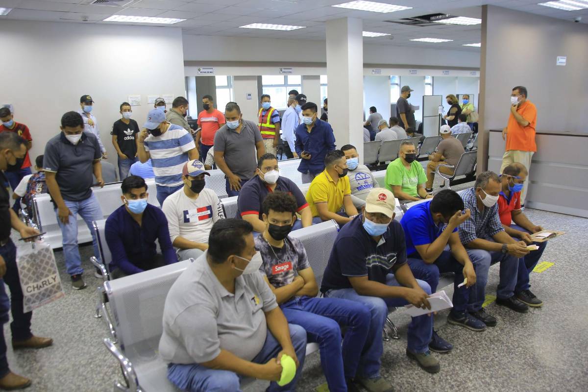 Tránsito advierte sobre estafas para obtener licencias de conducir de forma fácil