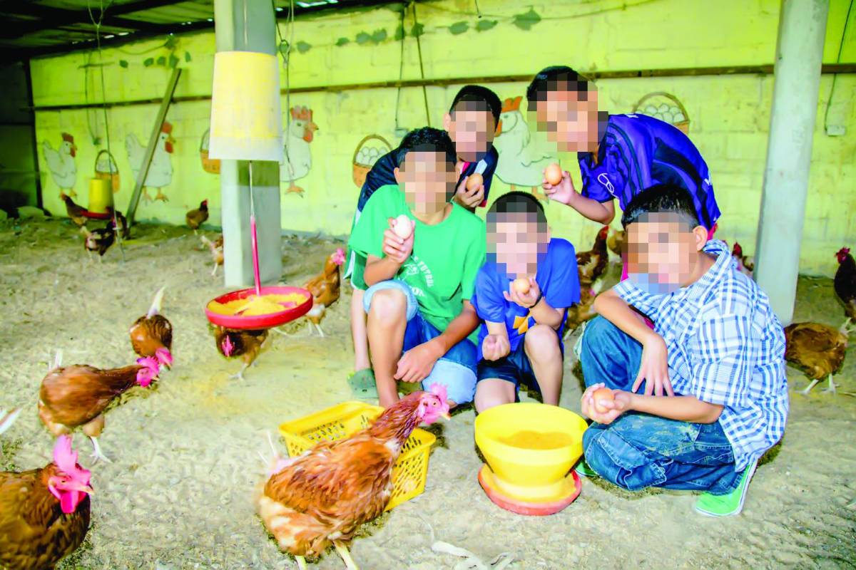 Hogar Enmanuel cumplirá 50 años