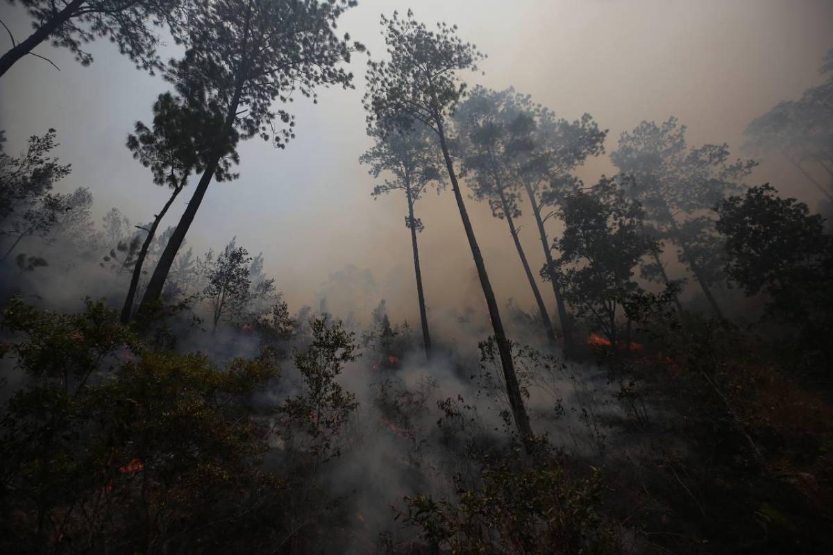 Prevén aumento de enfermedades por incendio en La Tigra