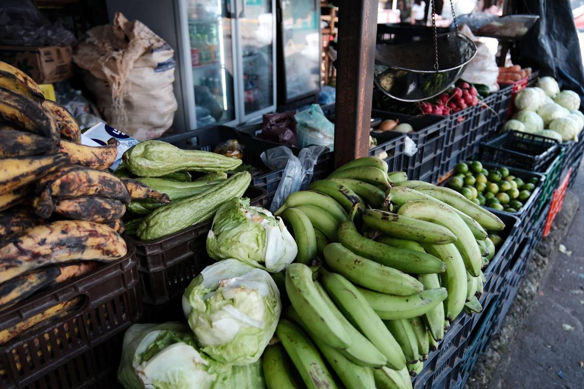 Los guineos verdes, limones y plátanos mantienen su costo frente al resto de verduras. Los huevos registraron un incremento después de varias semanas estables.
