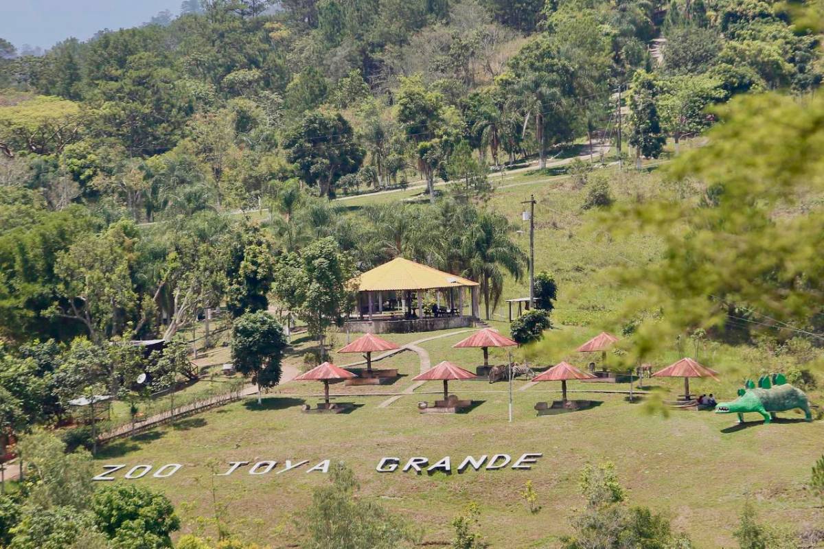 Proponen hacer de zoológico Joya Grande un parque