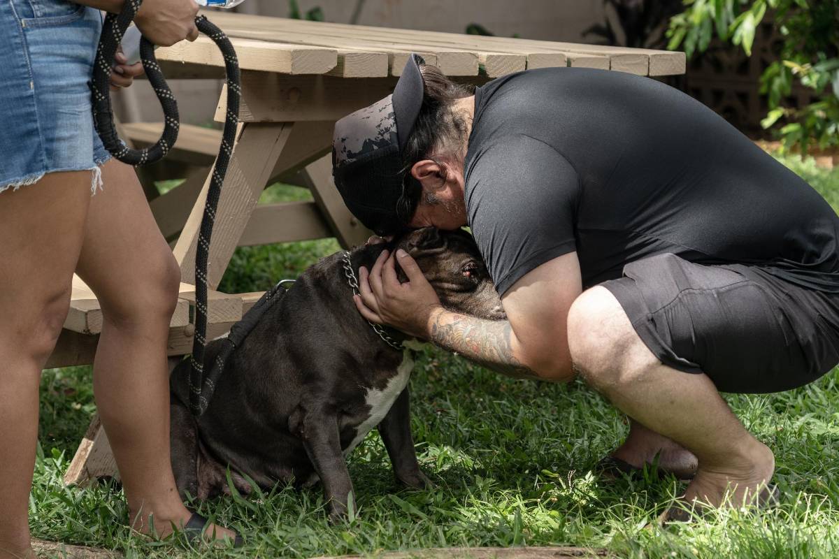“Ocurrieron milagros”: Una caótica lucha para salvar mascotas de los incendios en Hawái