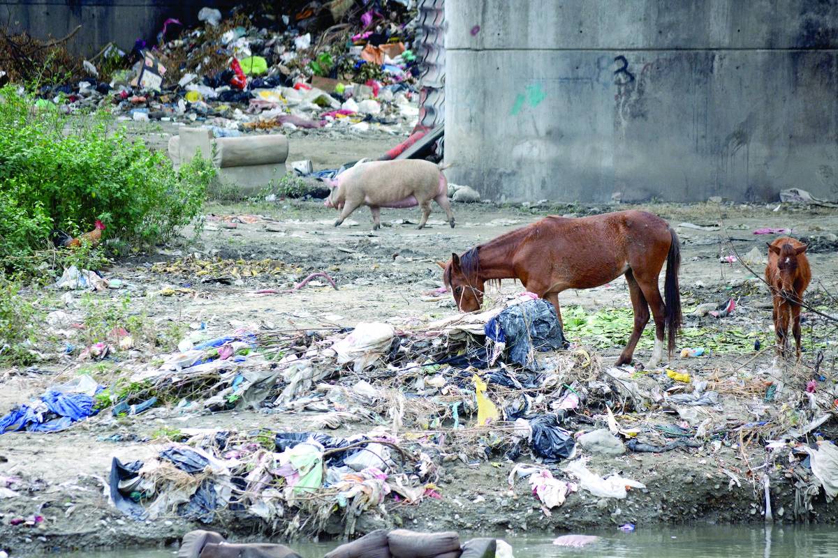 El plan de arbitrios ya establece multas de entre 20,000 y 30,000 lempiras.