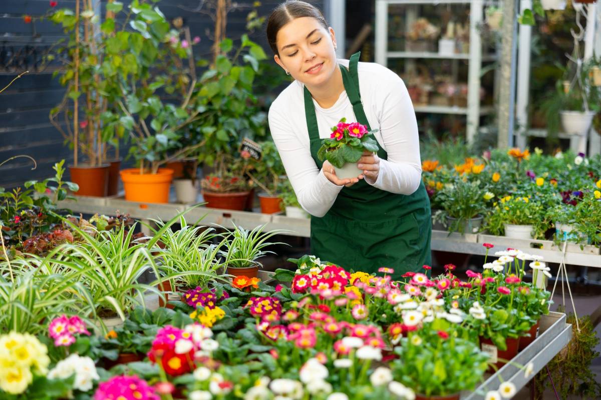 ¡Fascinación por las Plantas!: Los 10 tipos de flores que mejor se adaptan al calor