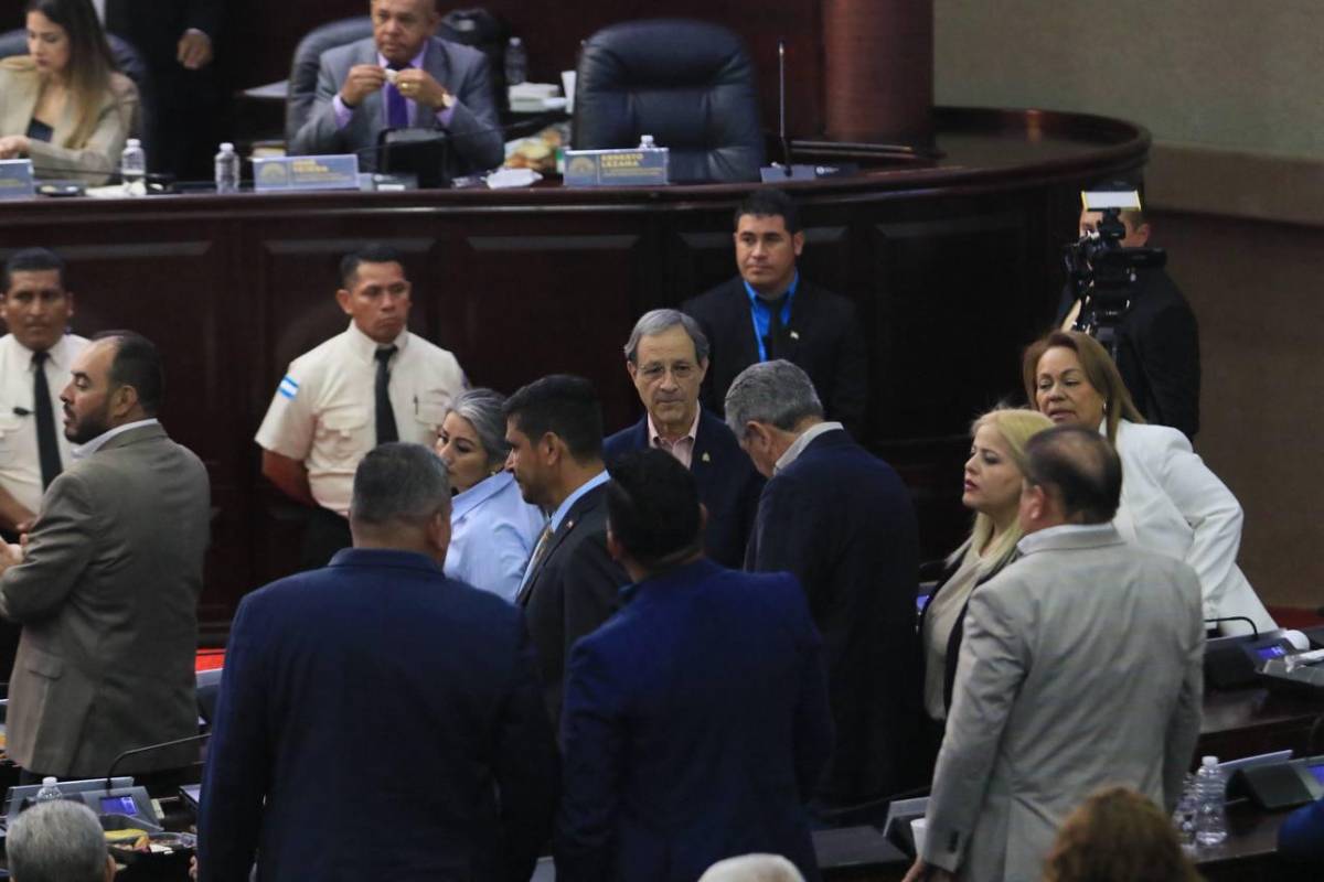 Accidentada sesión en el CN tras dos meses de inactividad; diputada reaccionó furiosa