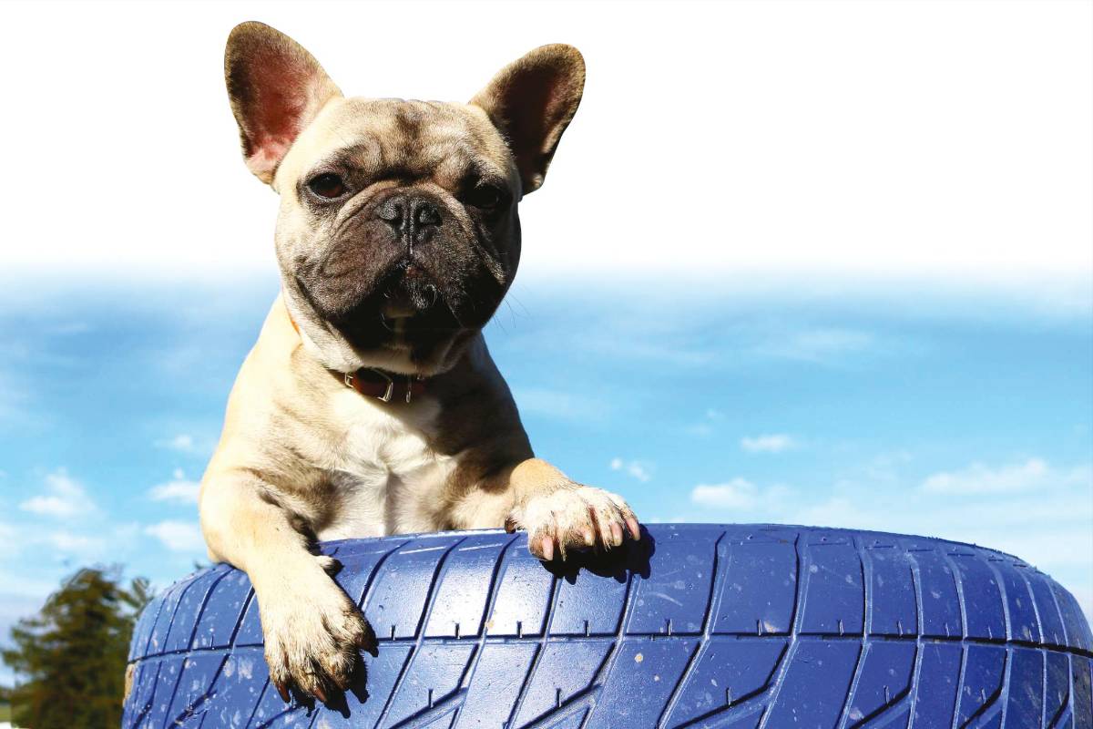 Camitas hechas con neumáticos