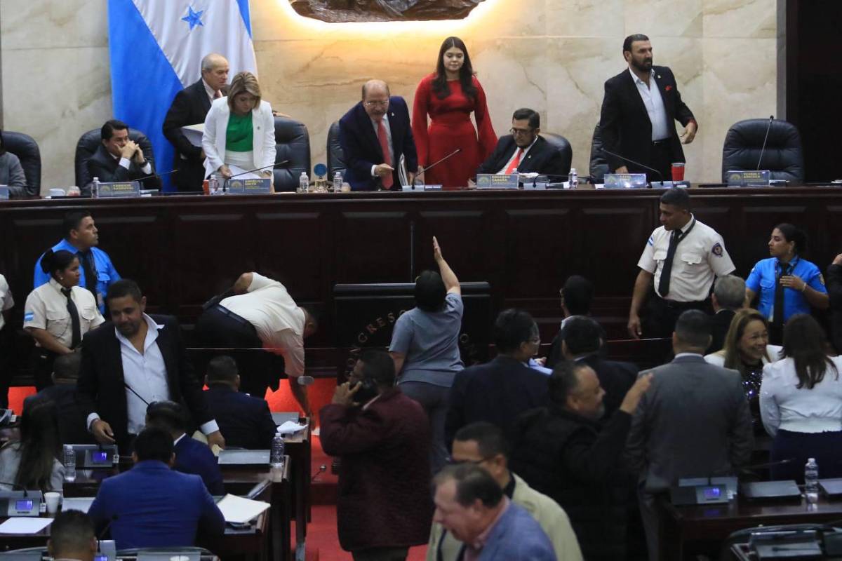 Accidentada sesión en el CN tras dos meses de inactividad; diputada reaccionó furiosa