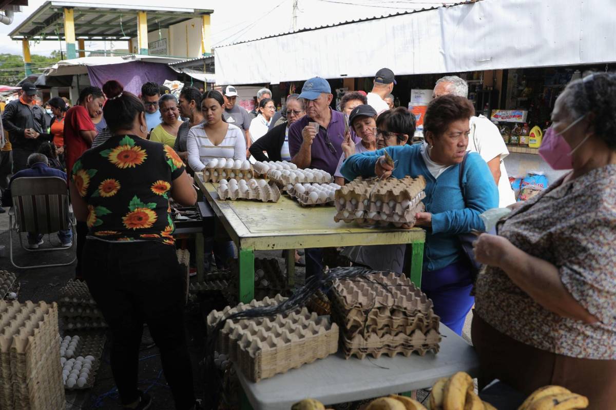 Personas hacen fila para poder comprar huevos en un mercado, el 3 de noviembre de 2023, en Tegucigalpa (Honduras).
