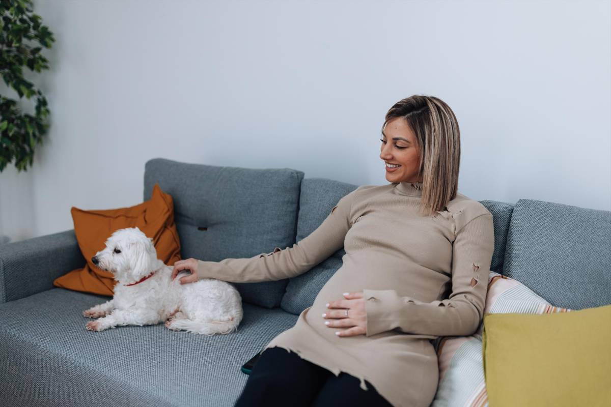 Cambios que implica tener mascotas durante el embarazo