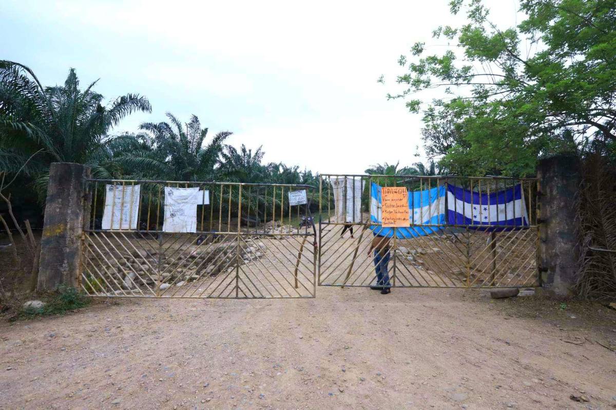 ONU, preocupada por desalojo de campesinos Bajo Aguán