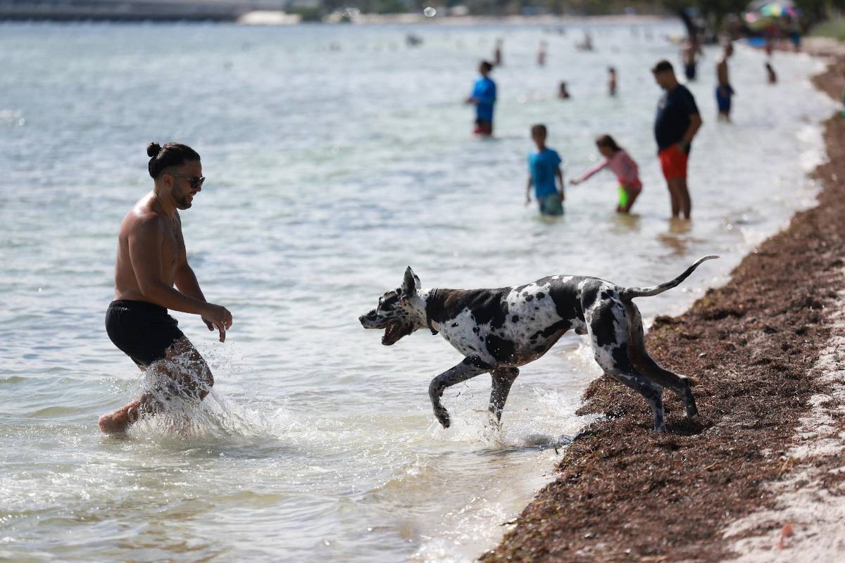 El 4 de julio fue el día con la temperatura promedio más alta jamás registrada