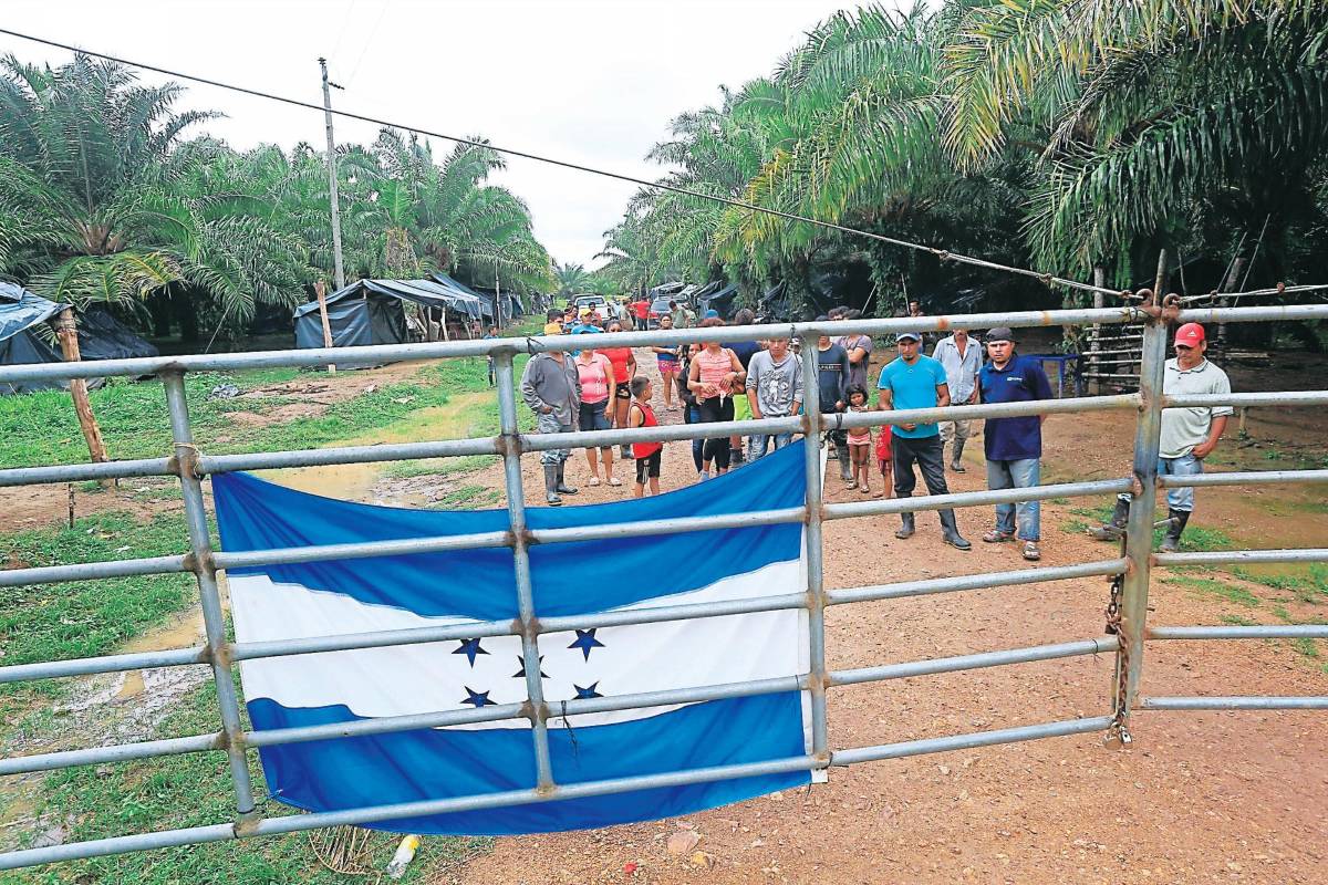 Recuperan tres mil hectáreas invadidas