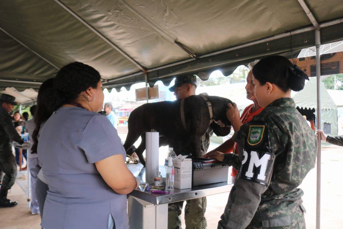 Policía Militar celebra brigada médica canina en Tegucigalpa