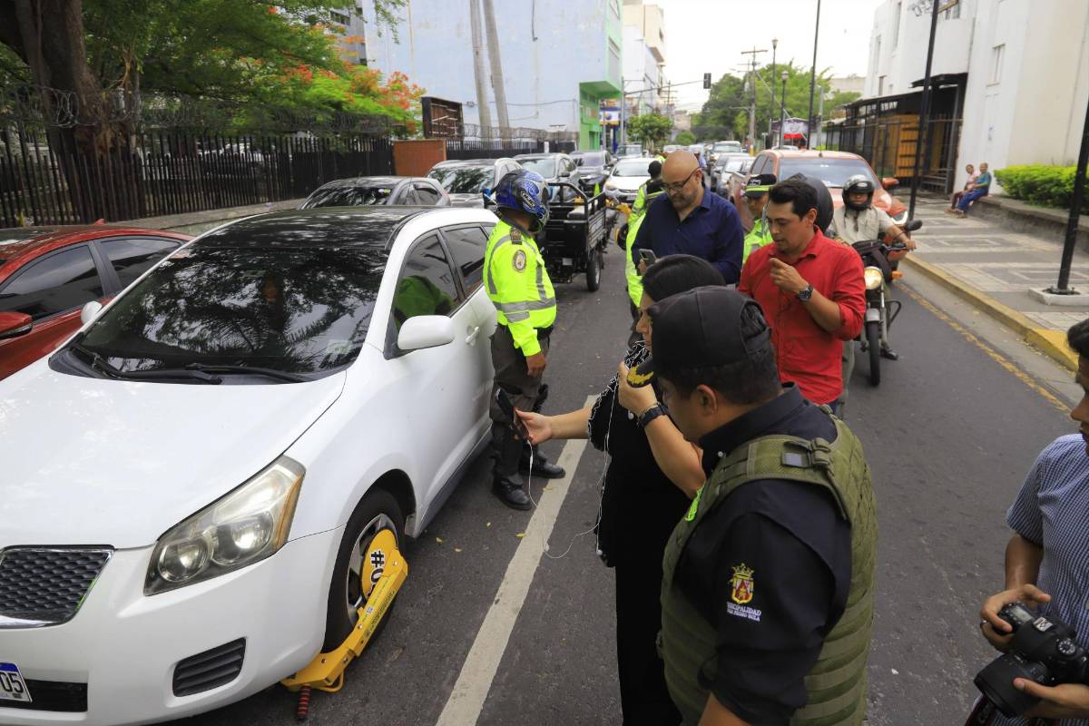 La persona que dañe una chacha va a pagar hasta L10,000 de multa