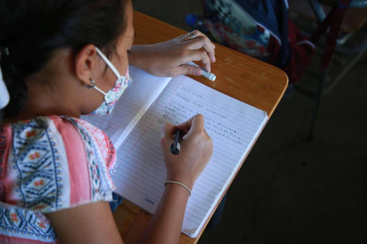 Implementarán guías para estudiantes con bajo nivel de lectura y escritura