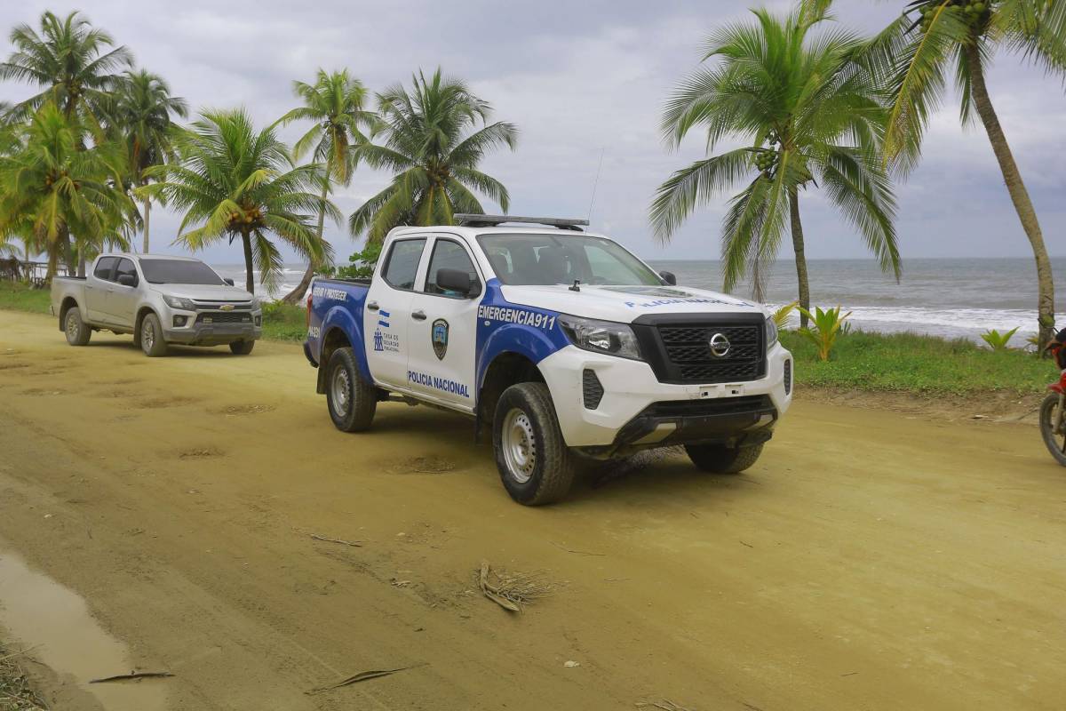 Varios equipos policiales investigan el triple crimen.